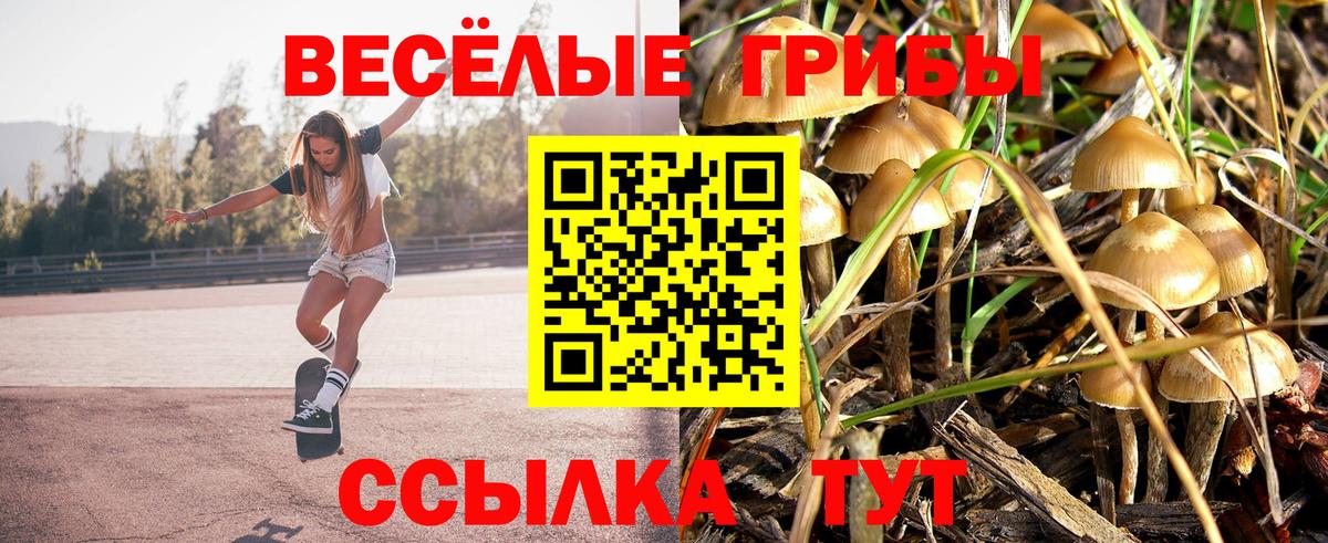 Сургут  Псилоцибиновые грибы мухоморы  Псилоцибиновые грибы ЛСД  Вход с VPN 